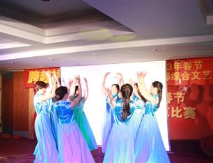跨越祥和，超越自我—2013春節(jié)聯(lián)歡--財(cái)務(wù)處